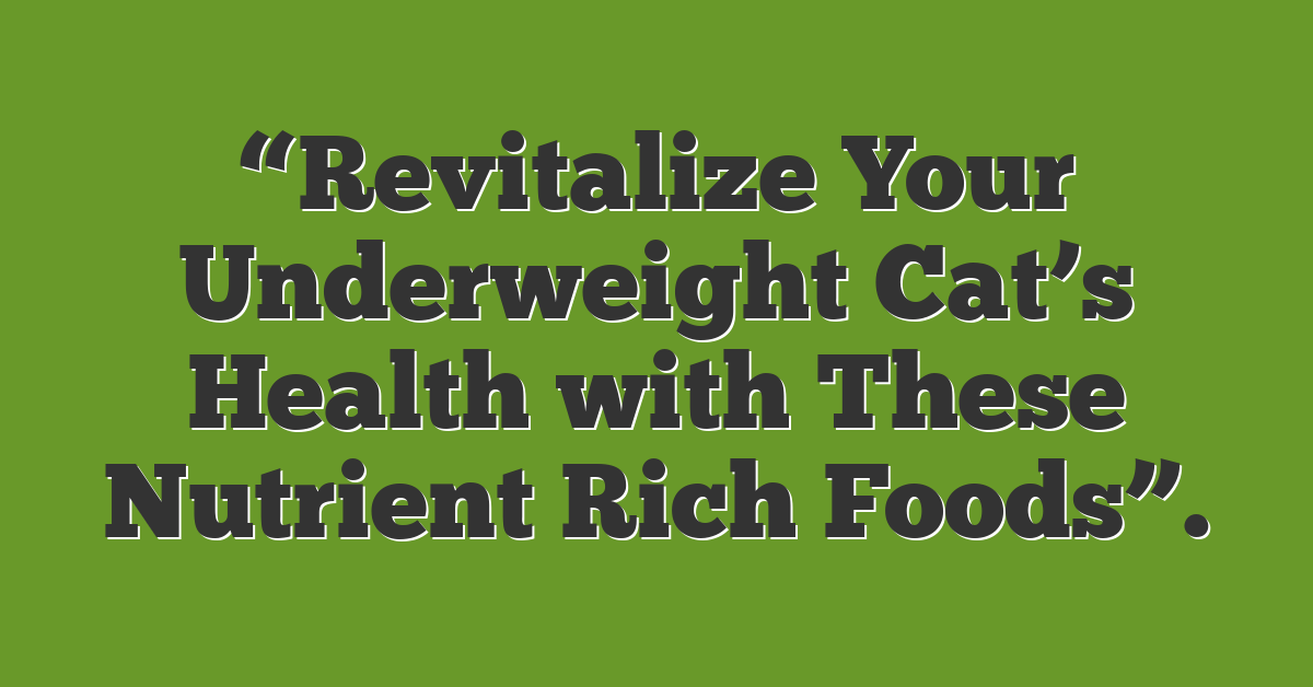 “Revitalize Your Underweight Cat’s Health with These Nutrient Rich Foods”.