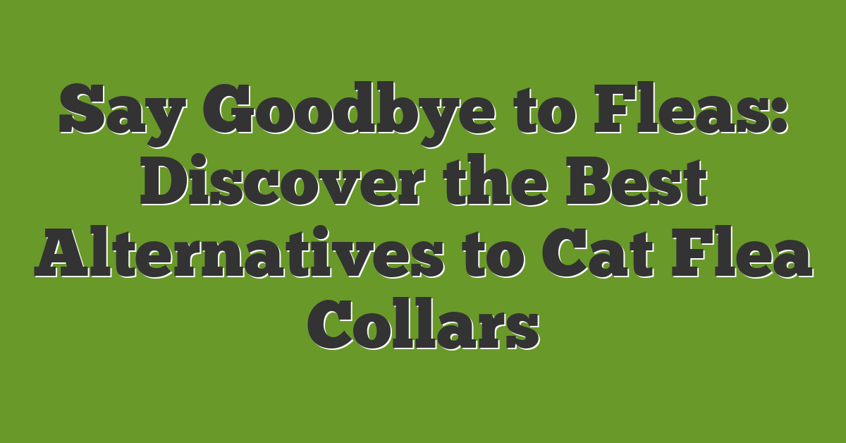 Say Goodbye to Fleas: Discover the Best Alternatives to Cat Flea Collars