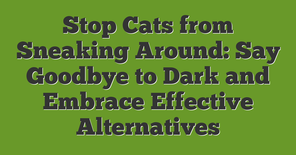 Stop Cats from Sneaking Around: Say Goodbye to Dark and Embrace Effective Alternatives