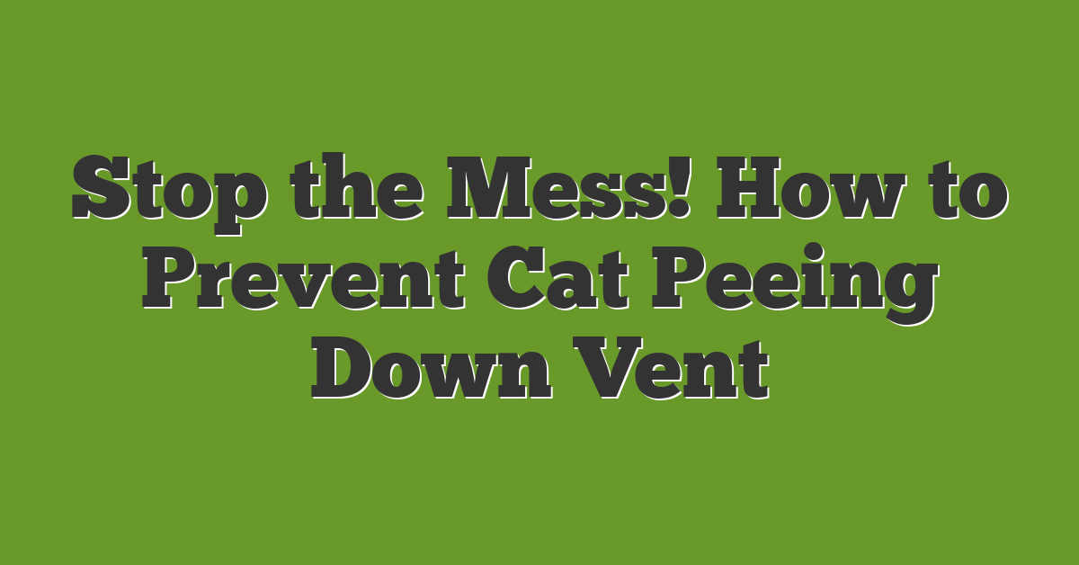 Stop the Mess! How to Prevent Cat Peeing Down Vent