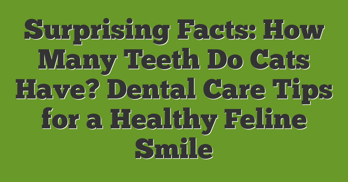 Surprising Facts: How Many Teeth Do Cats Have? Dental Care Tips for a Healthy Feline Smile