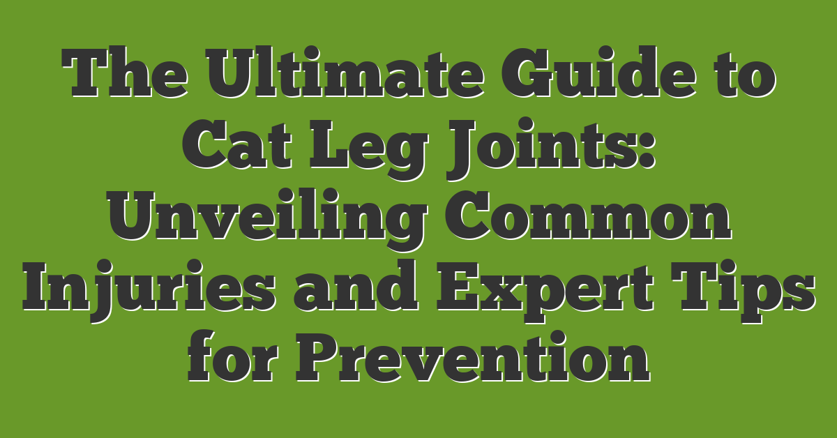 The Ultimate Guide to Cat Leg Joints: Unveiling Common Injuries and Expert Tips for Prevention