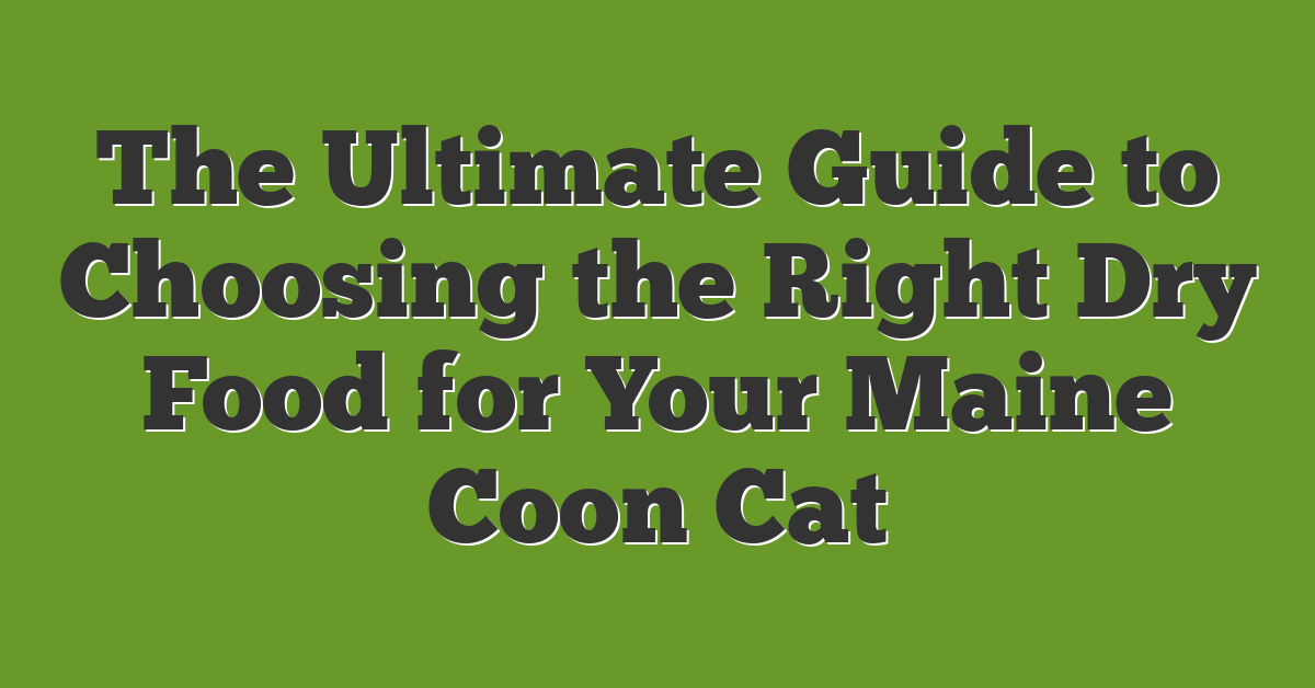 The Ultimate Guide to Choosing the Right Dry Food for Your Maine Coon Cat