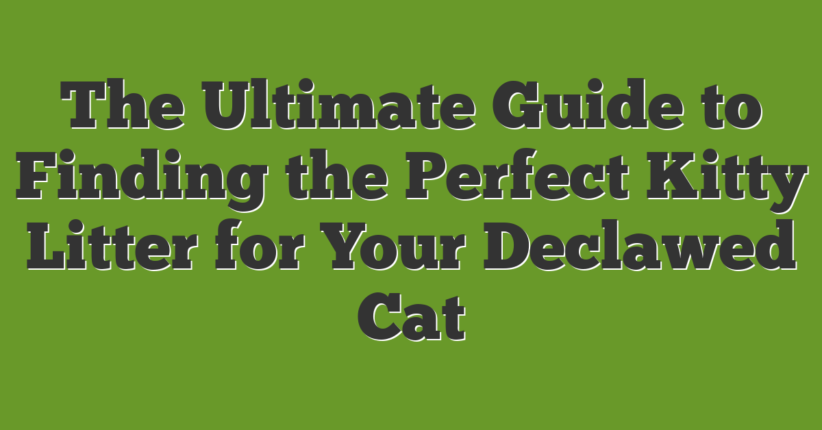 The Ultimate Guide to Finding the Perfect Kitty Litter for Your Declawed Cat