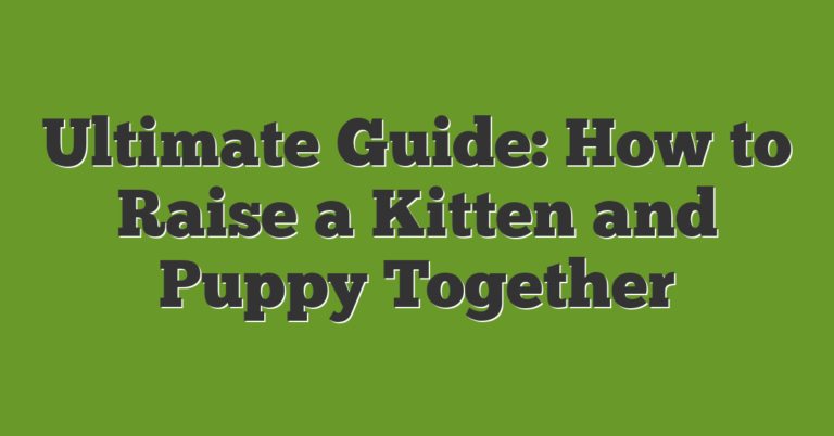 Ultimate Guide: How To Raise A Kitten And Puppy Together