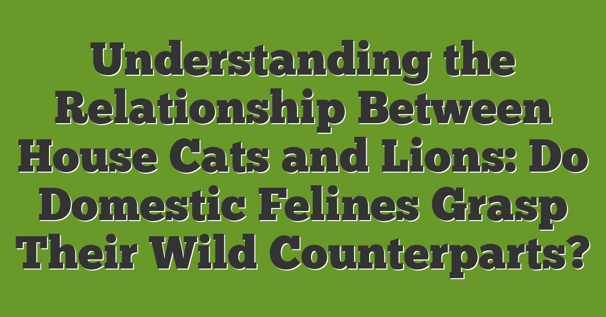 Understanding the Relationship Between House Cats and Lions: Do Domestic Felines Grasp Their Wild Counterparts?