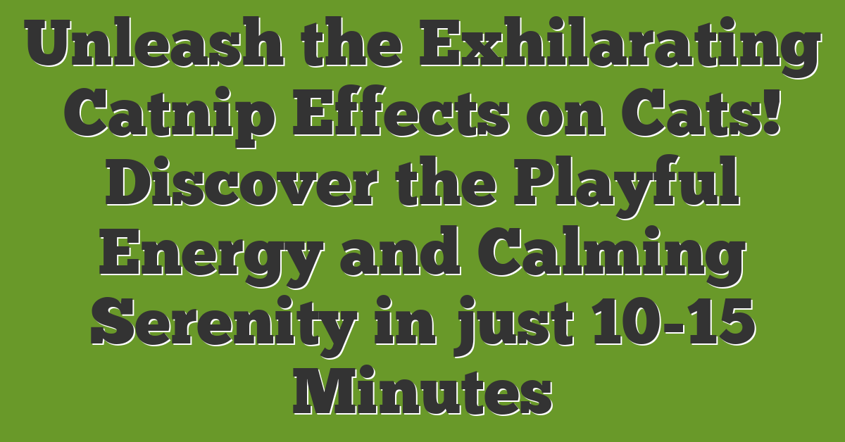 Unleash the Exhilarating Catnip Effects on Cats! Discover the Playful Energy and Calming Serenity in just 10-15 Minutes