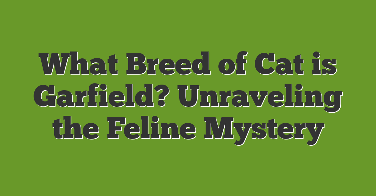 What Breed of Cat is Garfield? Unraveling the Feline Mystery