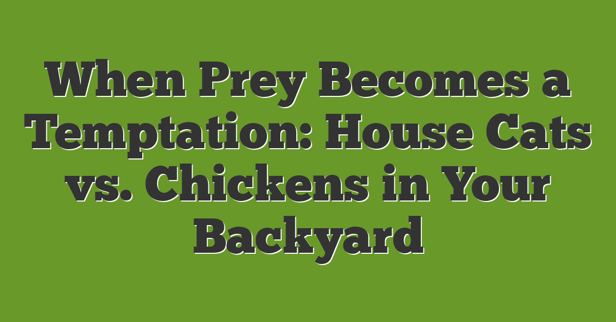 When Prey Becomes a Temptation: House Cats vs. Chickens in Your Backyard