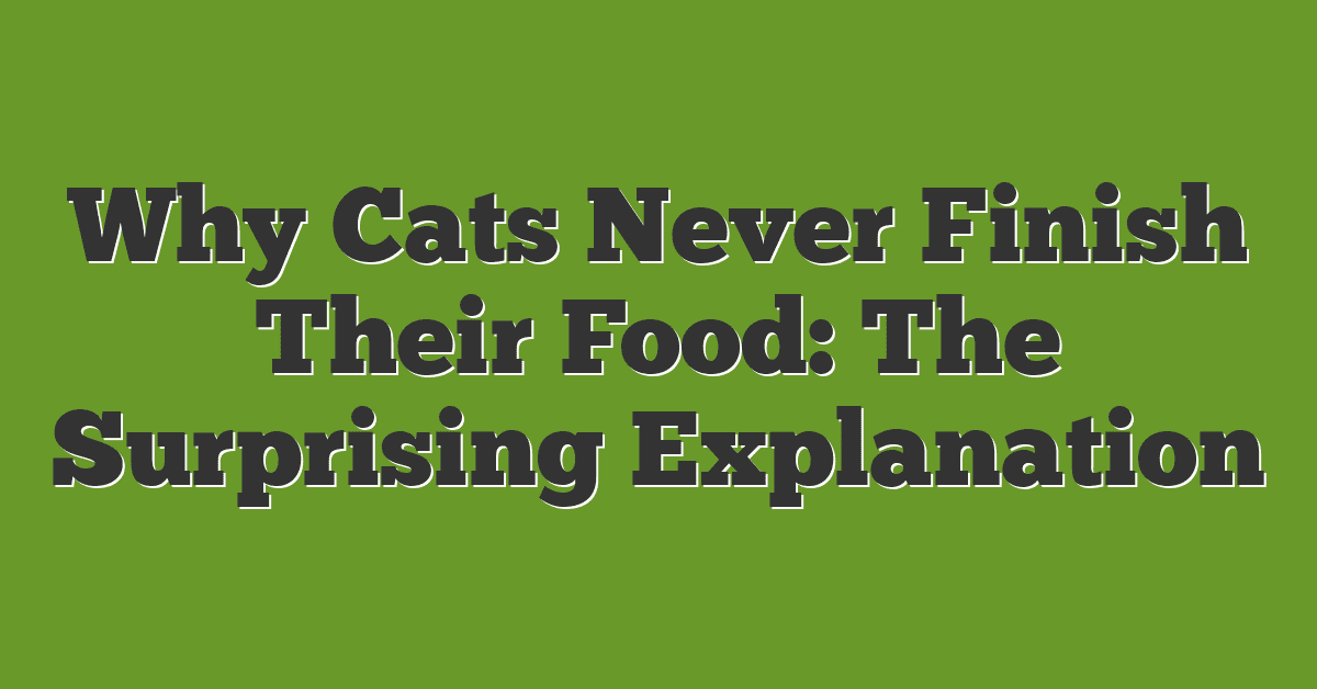 Why Cats Never Finish Their Food: The Surprising Explanation