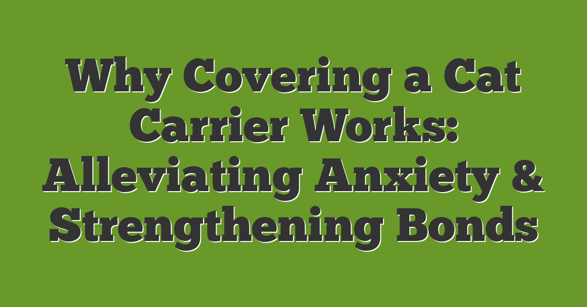 Why Covering a Cat Carrier Works: Alleviating Anxiety & Strengthening Bonds