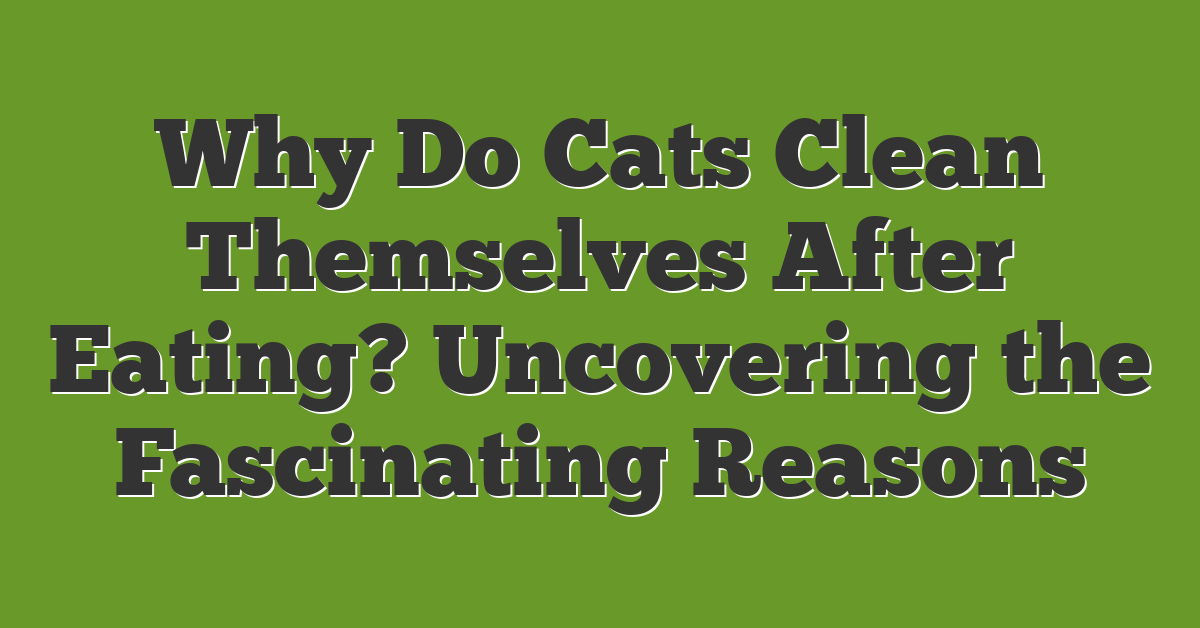 Why Do Cats Clean Themselves After Eating? Uncovering the Fascinating Reasons