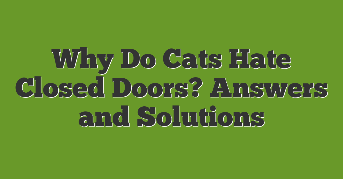 Why Do Cats Hate Closed Doors? Answers and Solutions