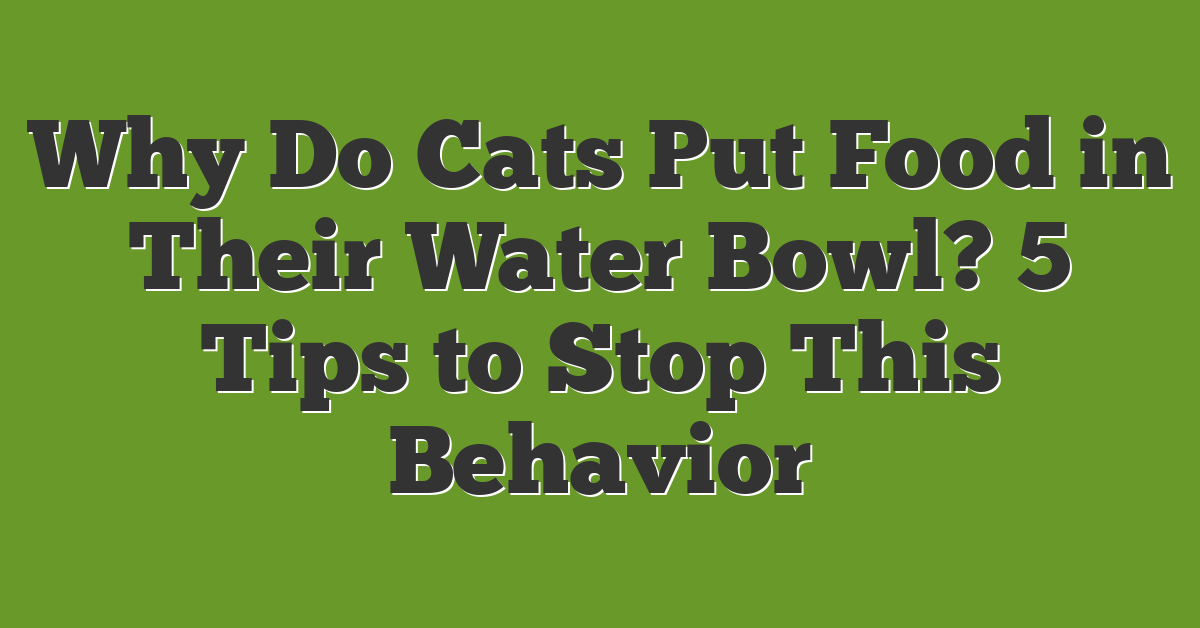 Why Do Cats Put Food in Their Water Bowl? 5 Tips to Stop This Behavior