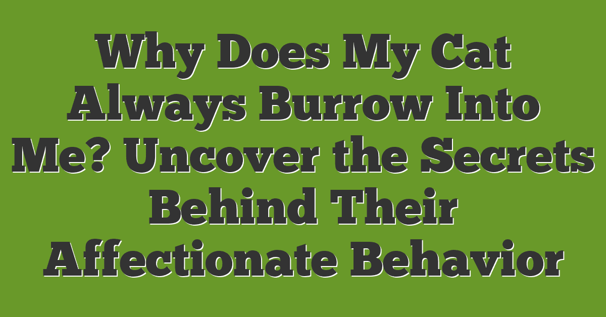 Why Does My Cat Always Burrow Into Me? Uncover the Secrets Behind Their Affectionate Behavior