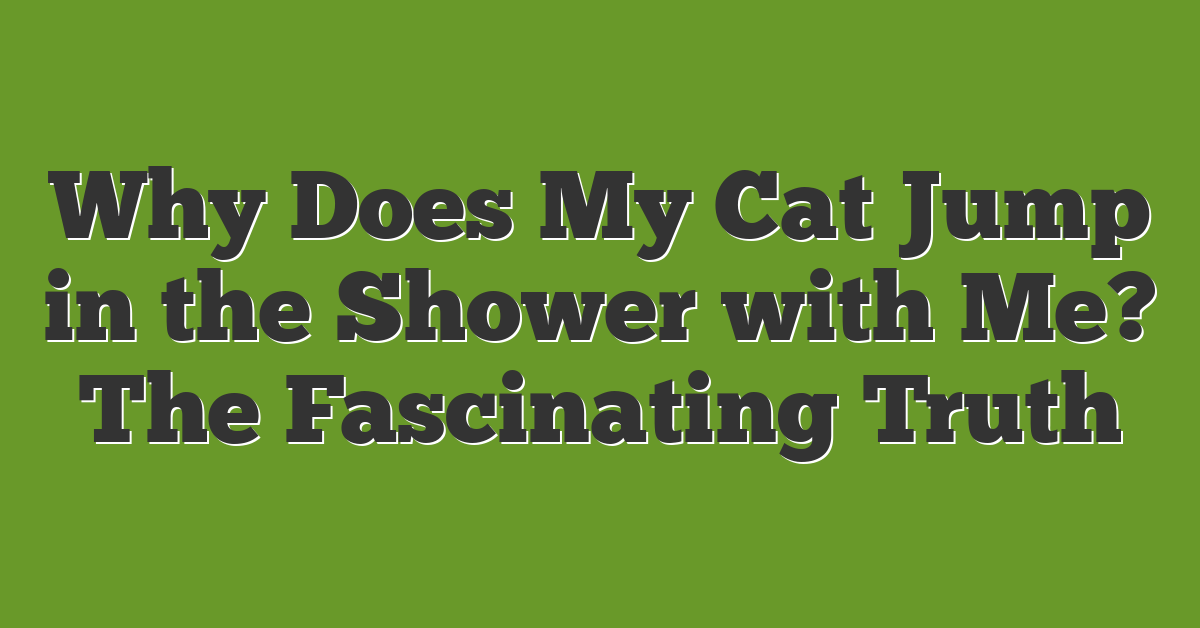 Why Does My Cat Jump in the Shower with Me? The Fascinating Truth