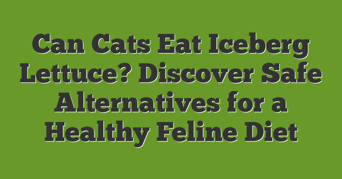 Can Cats Eat Iceberg Lettuce? Discover Safe Alternatives for a Healthy Feline Diet