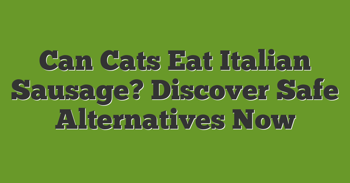 Can Cats Eat Italian Sausage? Discover Safe Alternatives Now