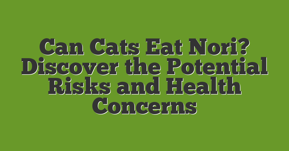 Can Cats Eat Nori? Discover the Potential Risks and Health Concerns