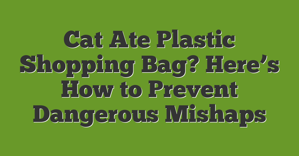 Cat Ate Plastic Shopping Bag? Here’s How to Prevent Dangerous Mishaps