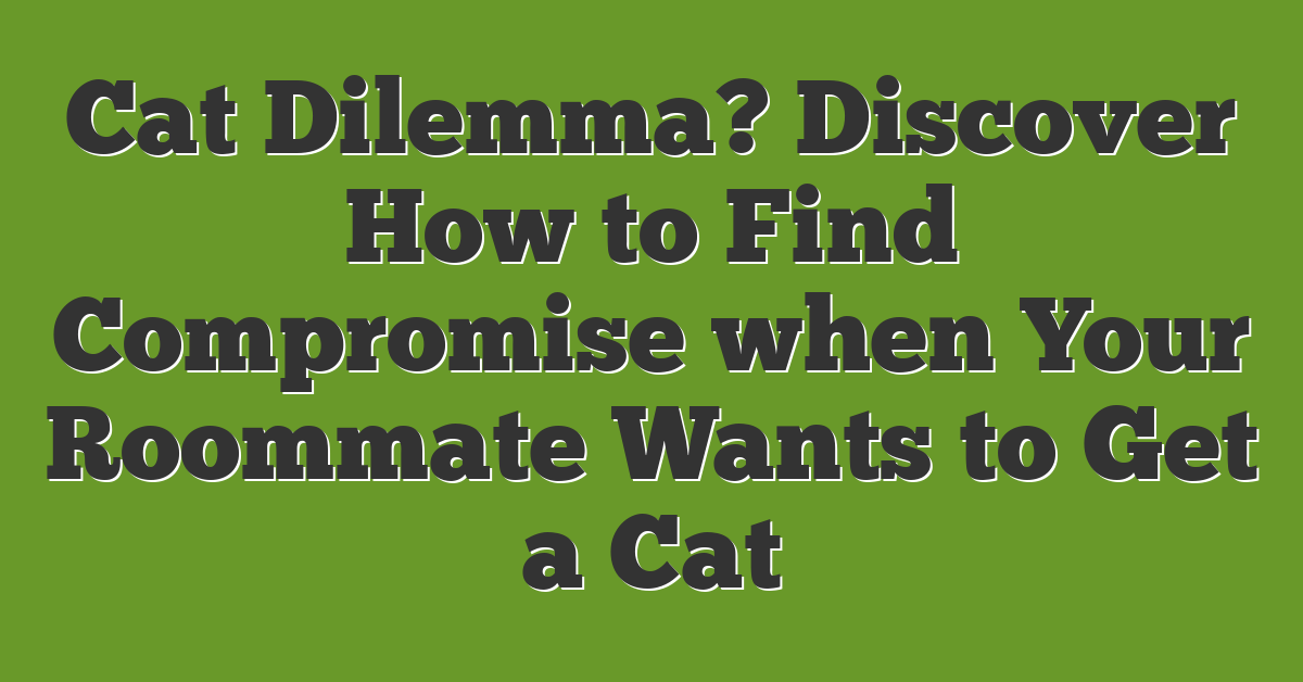 Cat Dilemma? Discover How to Find Compromise when Your Roommate Wants to Get a Cat