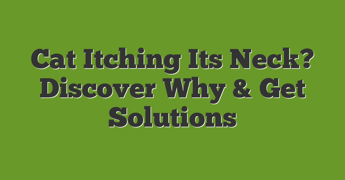 Cat Itching Its Neck? Discover Why & Get Solutions