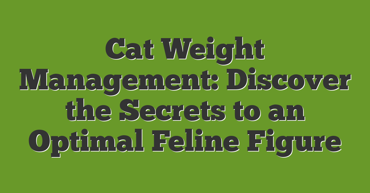 Cat Weight Management: Discover the Secrets to an Optimal Feline Figure