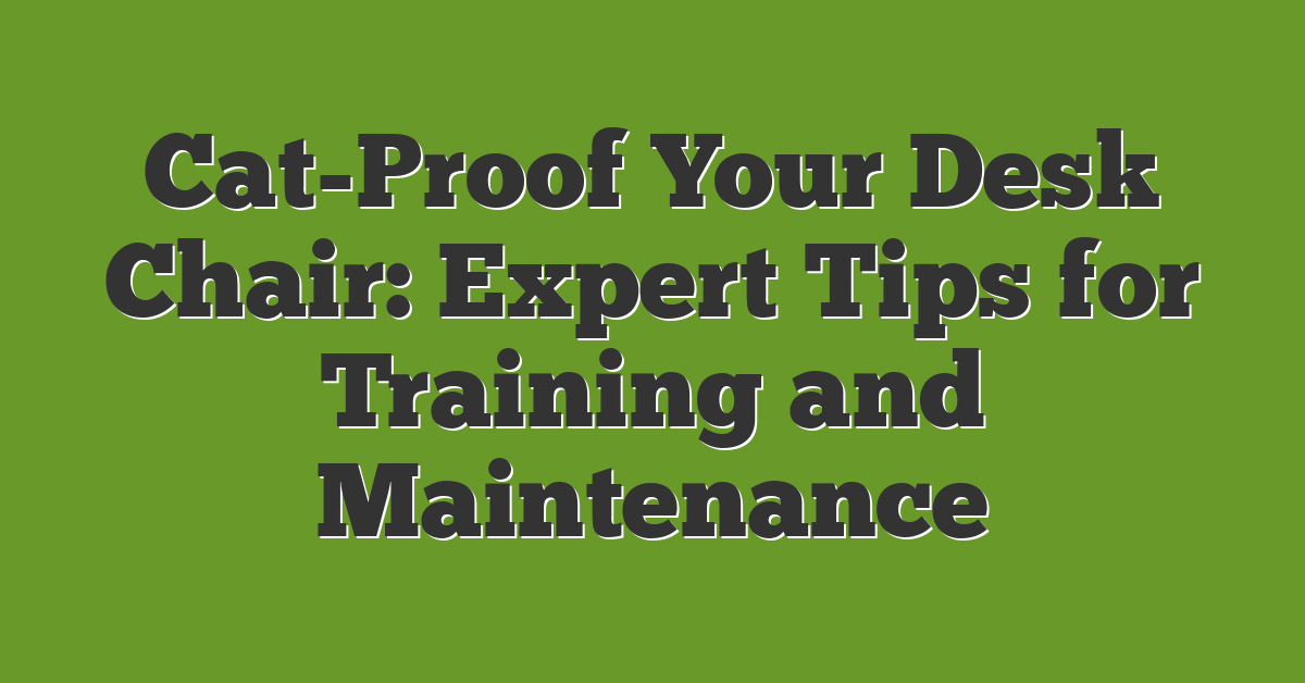 Cat-Proof Your Desk Chair: Expert Tips for Training and Maintenance