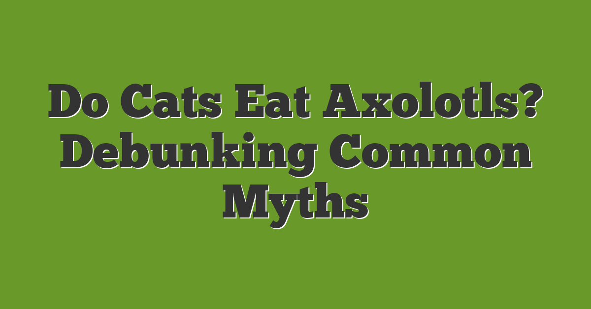 Do Cats Eat Axolotls? Debunking Common Myths