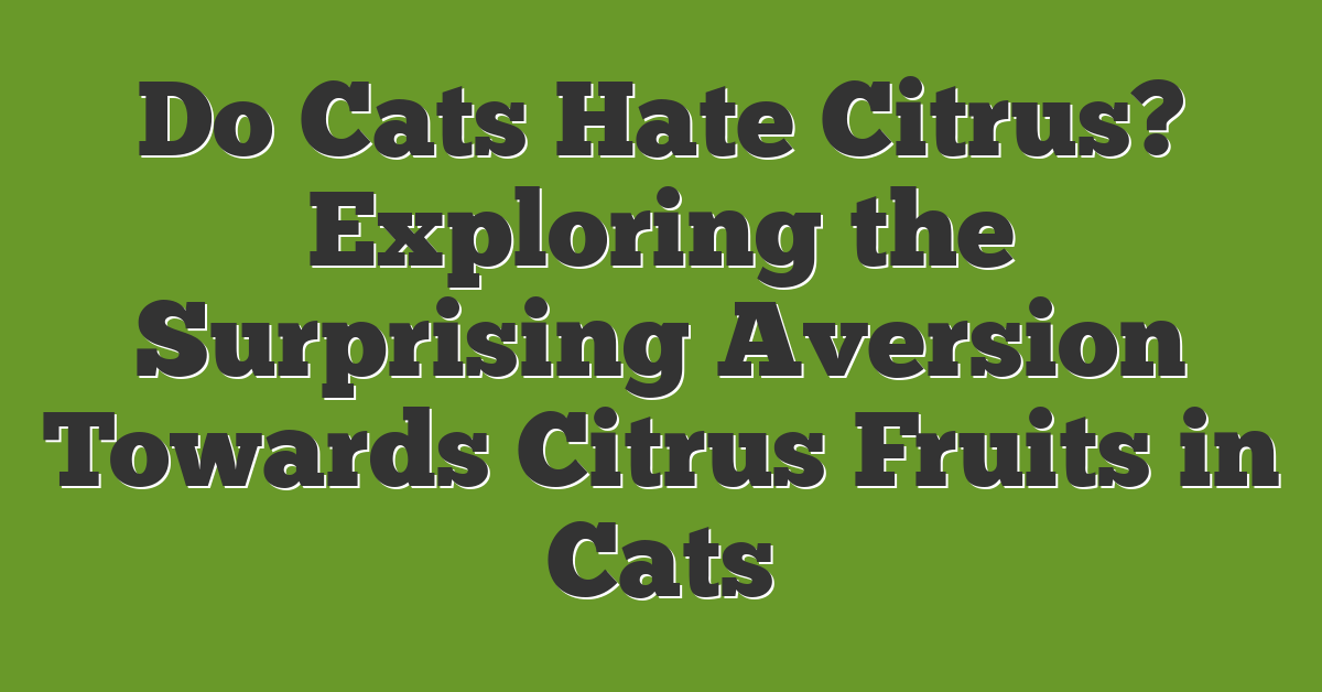 Do Cats Hate Citrus? Exploring the Surprising Aversion Towards Citrus Fruits in Cats