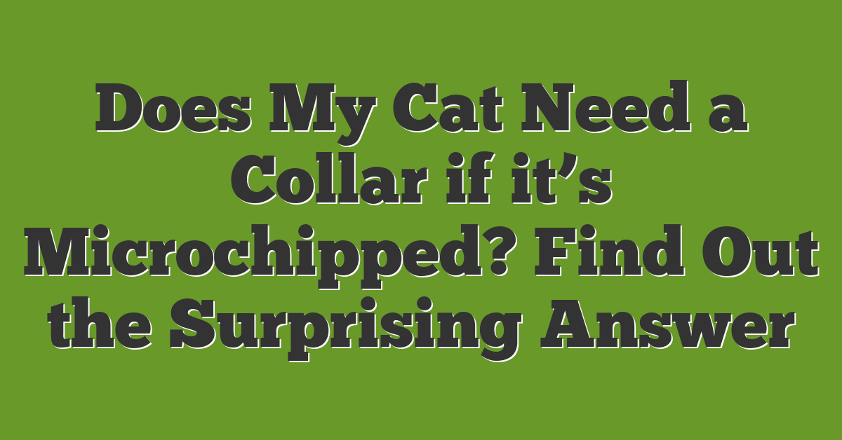 Does My Cat Need a Collar if it’s Microchipped? Find Out the Surprising Answer