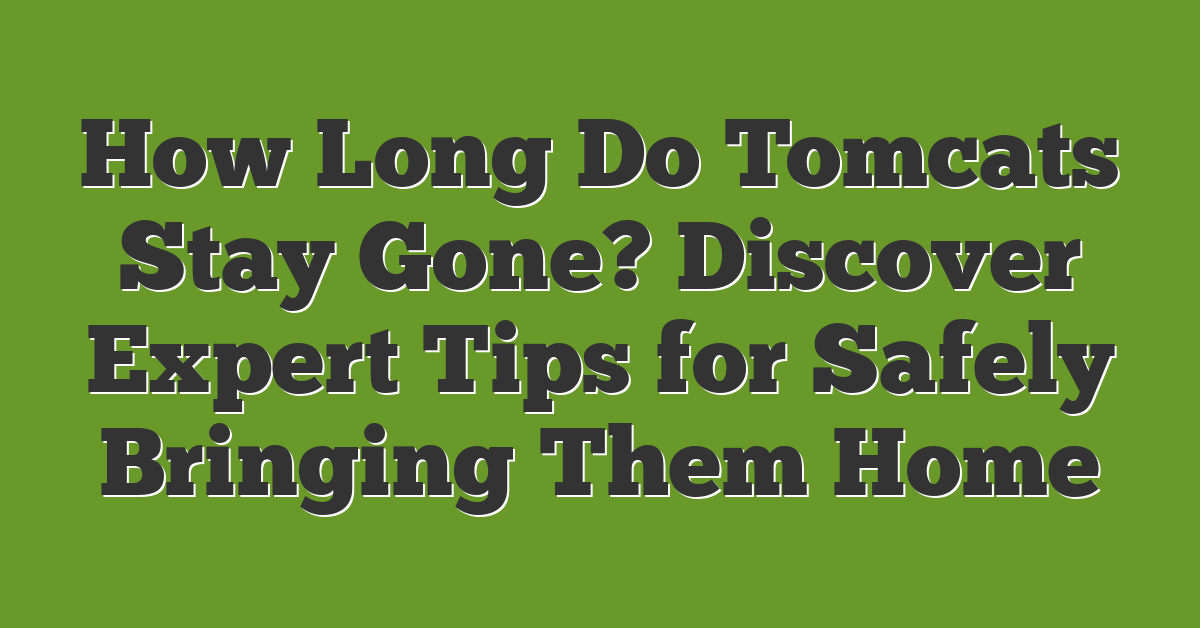 How Long Do Tomcats Stay Gone? Discover Expert Tips for Safely Bringing Them Home