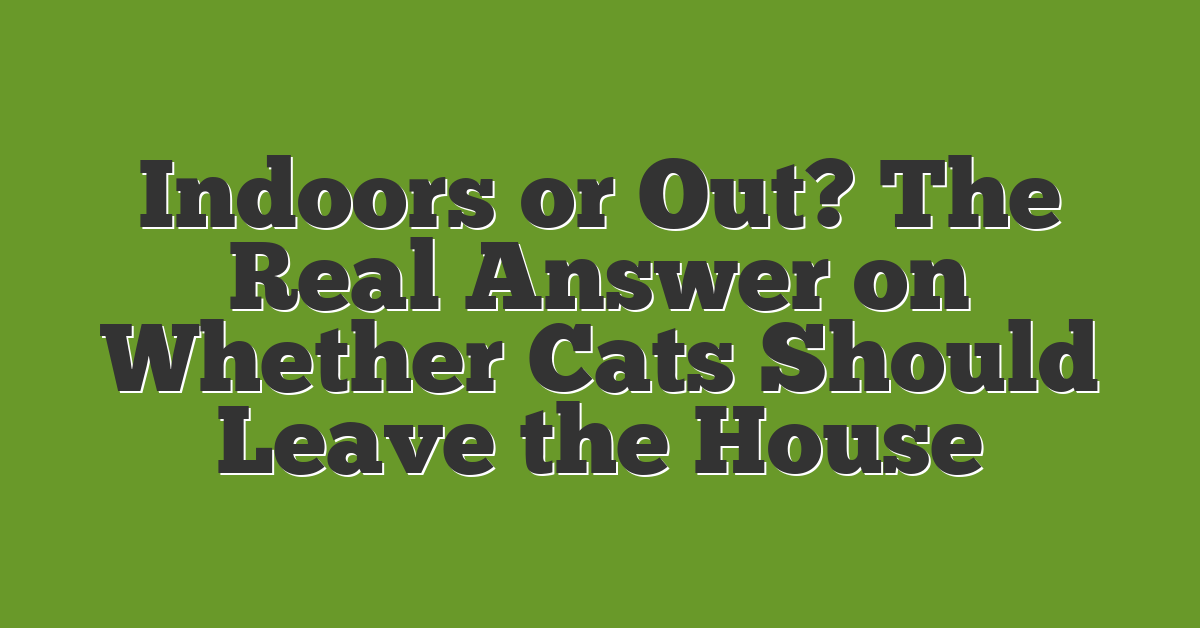 Indoors or Out? The Real Answer on Whether Cats Should Leave the House