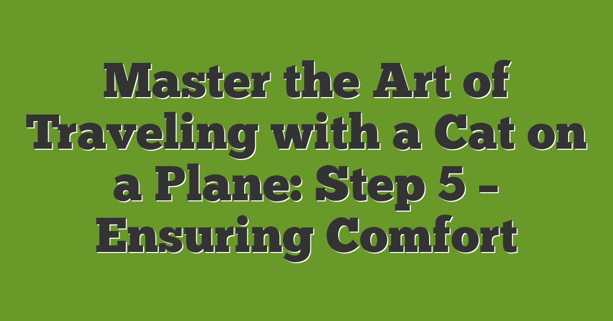 Master the Art of Traveling with a Cat on a Plane: Step 5 – Ensuring Comfort