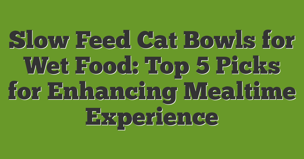 Slow Feed Cat Bowls for Wet Food: Top 5 Picks for Enhancing Mealtime Experience