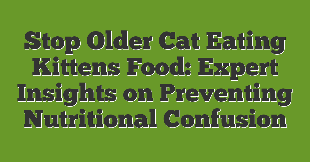 Stop Older Cat Eating Kittens Food: Expert Insights on Preventing Nutritional Confusion