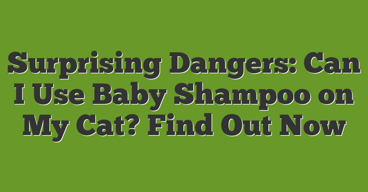 Surprising Dangers: Can I Use Baby Shampoo on My Cat? Find Out Now