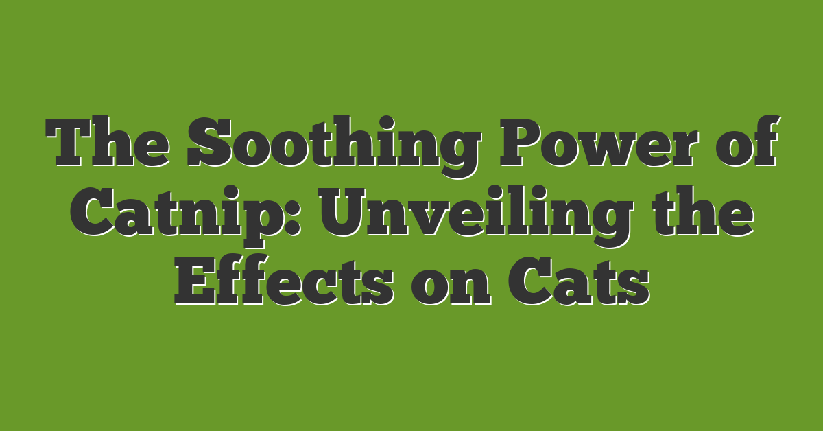 The Soothing Power of Catnip: Unveiling the Effects on Cats