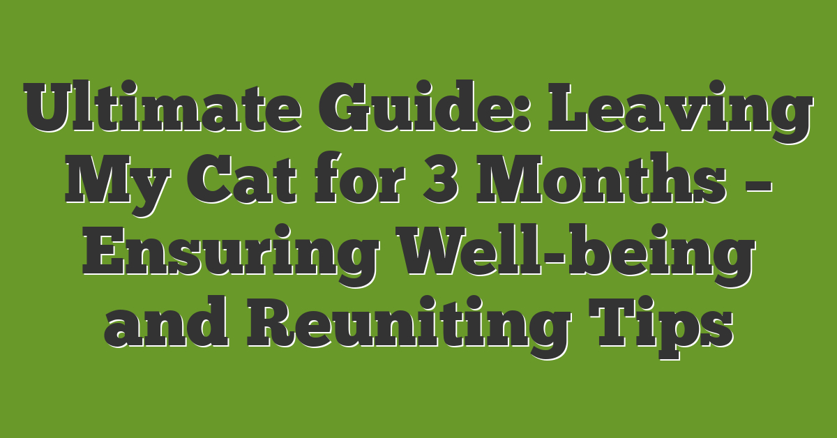 Ultimate Guide: Leaving My Cat for 3 Months – Ensuring Well-being and Reuniting Tips