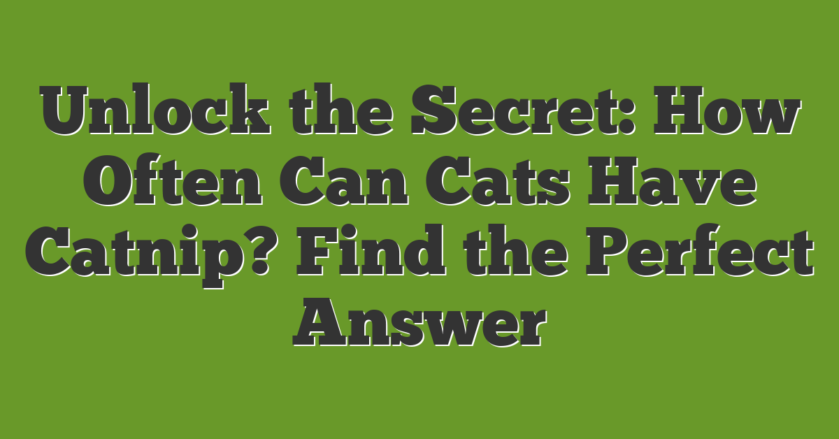 Unlock the Secret: How Often Can Cats Have Catnip? Find the Perfect Answer