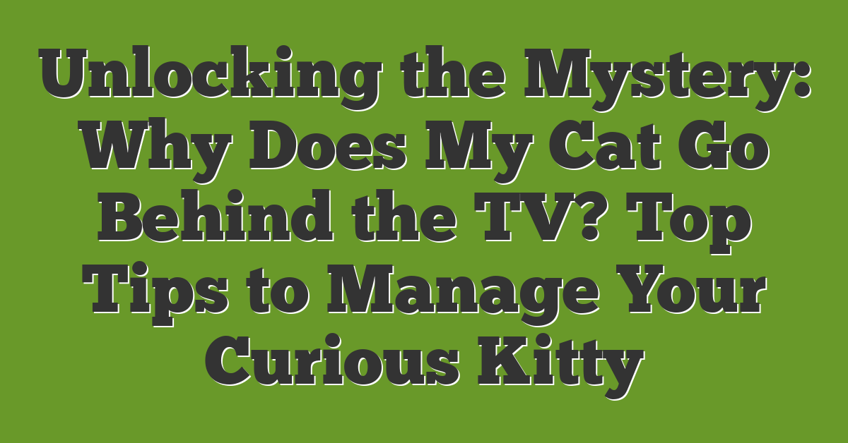 Unlocking the Mystery: Why Does My Cat Go Behind the TV? Top Tips to Manage Your Curious Kitty