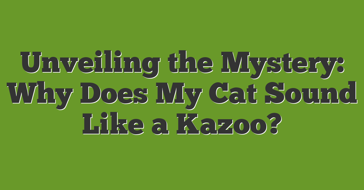 Unveiling the Mystery: Why Does My Cat Sound Like a Kazoo?
