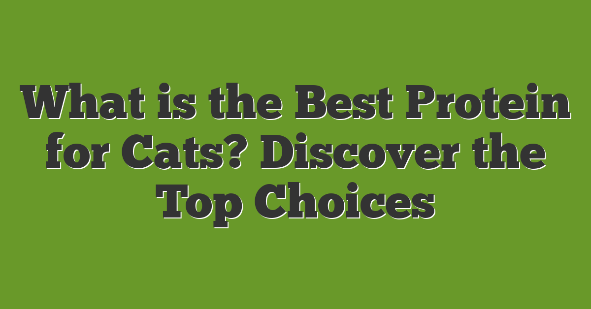 What is the Best Protein for Cats? Discover the Top Choices