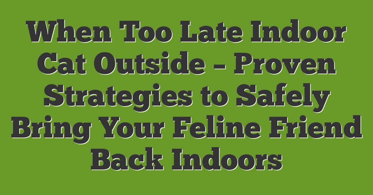 When Too Late Indoor Cat Outside – Proven Strategies to Safely Bring Your Feline Friend Back Indoors
