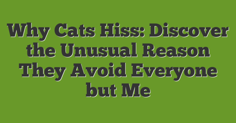 Why Cats Hiss: Discover The Unusual Reason They Avoid Everyone But Me