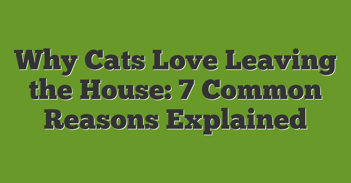 Why Cats Love Leaving the House: 7 Common Reasons Explained