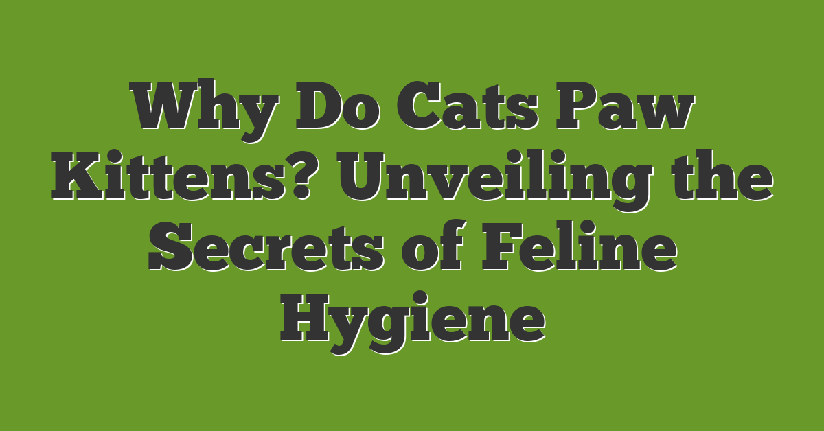 Why Do Cats Paw Kittens? Unveiling the Secrets of Feline Hygiene