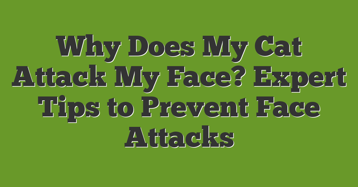 Why Does My Cat Attack My Face? Expert Tips to Prevent Face Attacks