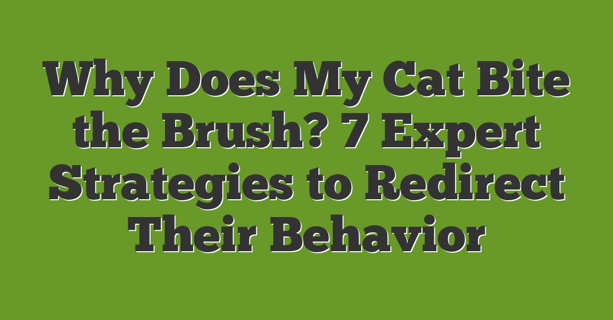 Why Does My Cat Bite the Brush? 7 Expert Strategies to Redirect Their Behavior