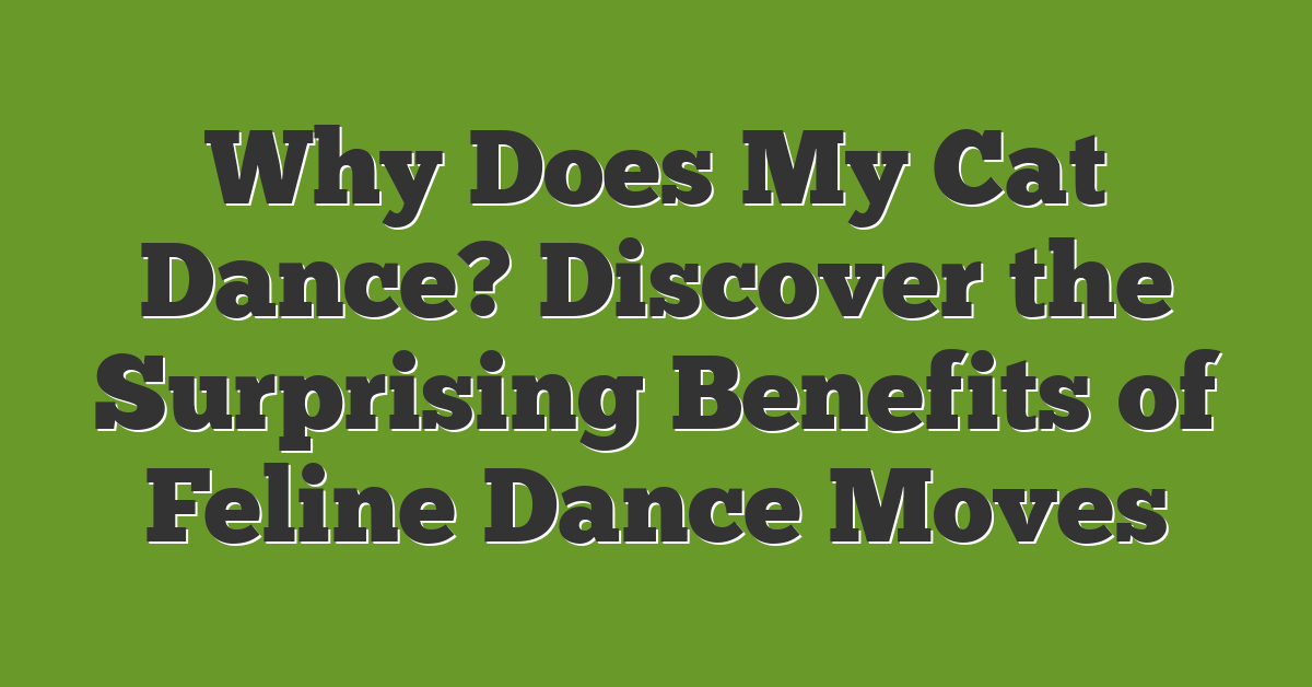 Why Does My Cat Dance? Discover the Surprising Benefits of Feline Dance Moves